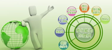 產(chǎn)品成長期 企業(yè)營銷型網(wǎng)站與產(chǎn)品共同成長的戰(zhàn)略融合