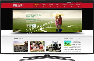 奉賢企業網站建設與維護指南 打造上海本地化網絡形象